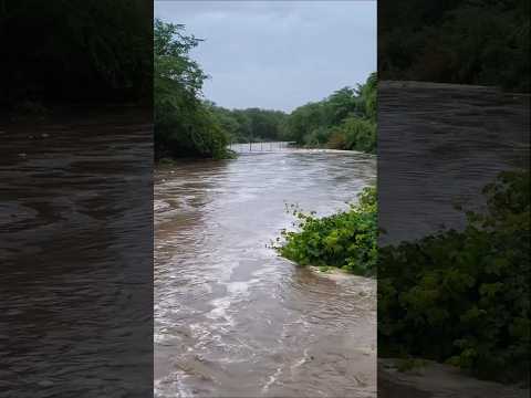 Primeiras águas do Rio Taperoá na altura da fazenda Carnaúba - Taperoá PB #nordeste #fazendacarnaúba
