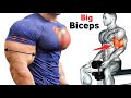 Ultimate Bicep Workout Build Big Arms At Home No Equipment Needed