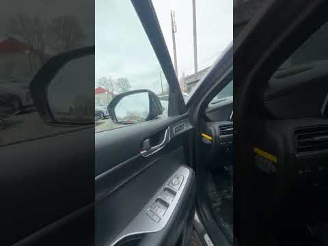 фото hyundai palisade i 0