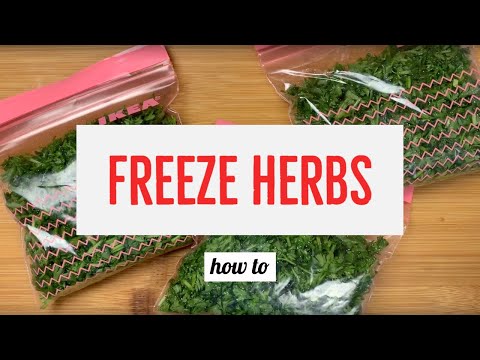 How to Freeze & Store Your Fresh Raw Herbs!