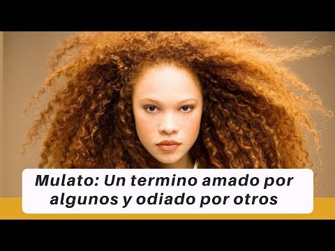 download lagu mp3 mp4 Que Es Mulato, download lagu Que Es Mulato gratis, unduh video klip Que Es Mulato