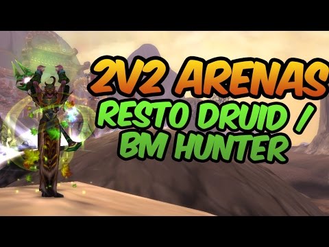 6.1 2v2 arenas - Resto Druid / BM Hunter