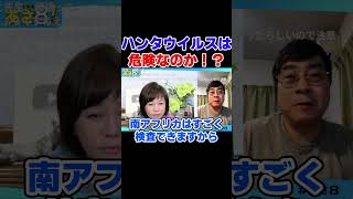 ハンタウイルスは危険なのか！？　自民党 高市政権【日本保守党】