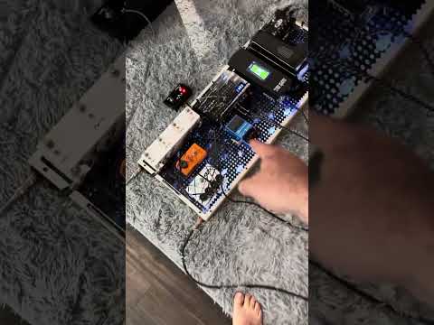 EVH wet dry wet guitar rig explained. SDE 3000 EVH and PS6 harmonist pedal