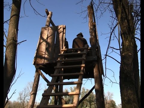 HAZAI VADÁSZ TV Magazin - 2014. november 23-i adás