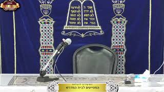 בית המדרש "תורת דוד" ¤ שידור חי ¤ כ"ו חשון תשפ"ו (17.11.2025) (מוסדות תורת דוד) - התמונה מוצגת ישירות מתוך אתר האינטרנט יוטיוב. זכויות היוצרים בתמונה שייכות ליוצרה. קישור קרדיט למקור התוכן נמצא בתוך דף הסרטון
