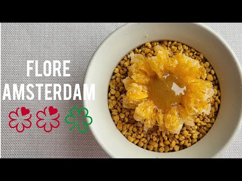[Full Video] Amsterdam - Flore (☆☆/♧) Two Michelin Starred Restaurant with a Green star, Lunch menu.