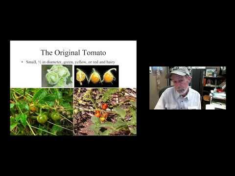 Tomatoes - History, Color, Acidity, Diversity, Unusual Facts and Oddities by David Cook.