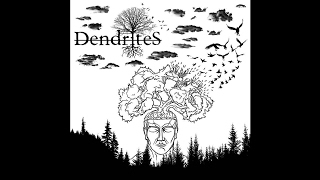 Dendrites 
