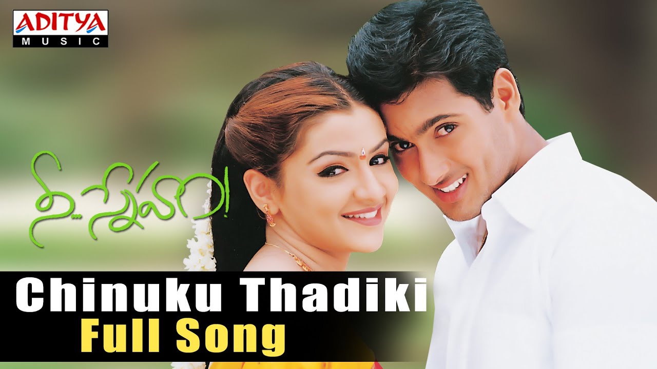 Chinuku Thadiki Lyrics | Nee Sneham | Aarti Agarwal, Jatin, Uday Kiran | Usha | R P Patnaik