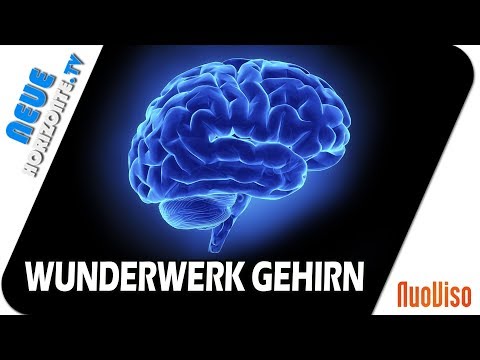 Starke Schmerzen im Nacken, wenn der Kopf geneigt ist Bestellen Sie das Massagegerät für die Behandlung von degenerativen Bandscheibenerkrankungen