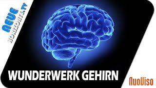 Das Gehirn – Wunderwerk der Selbstheilung – Dr. Ulrich Werth