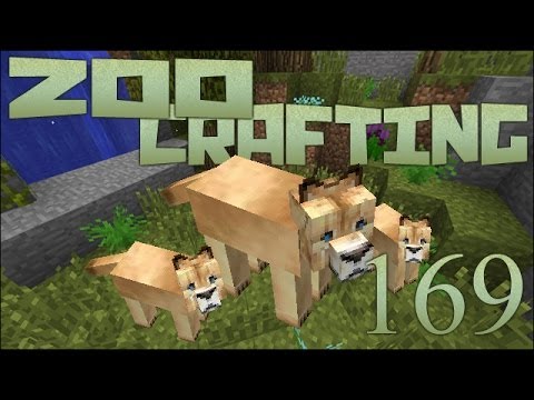 Mayla's Cougar Kittens!! 🐘 Zoo Crafting: Episode #169 [Zoocast]