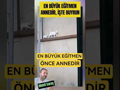 🛑 EN BÜYÜK EĞİTMEN ANNEDİR, HER CANLI DA DURUM AYNIDIR. İZLE 👏👏👏#anne #eğitmen #öğretmen