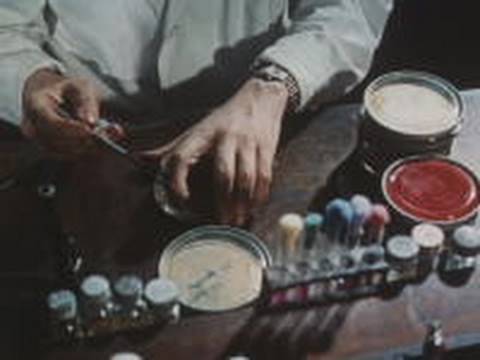 The discovery of penicillin (1964)