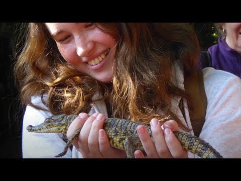 BSc Ecology & Wildlife Conservation play video