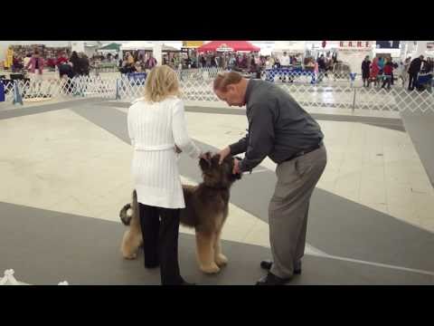 Norm Won Breed atlanta show day 3 2/7/2010