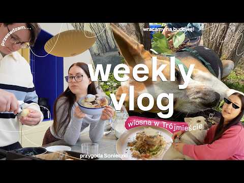 WEEKLY VLOG🌸// adopcja Soni🐶/ wiosenny Sopot / zmiany w ogrodzie i płot / spokojne dni w domu