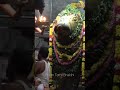 திருவண்ணாமலை நந்தி சிறப்பு அலங்கார த