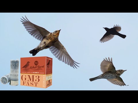 Δοκιμάζουμε το GM3 της NSI για την τσίχλα