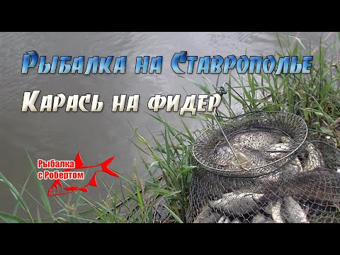 Фото Рыбалка на Ставрополье. Карась на фидер 10 05 2021