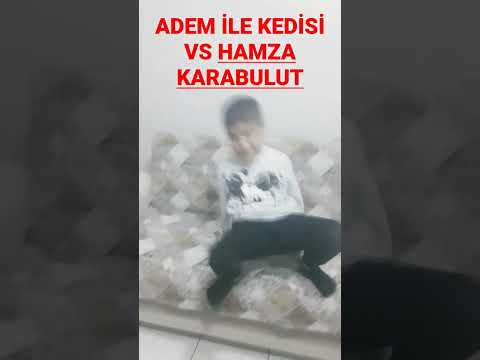 ADEM İLE KEDİSİ VS HAMZA KARABULUT