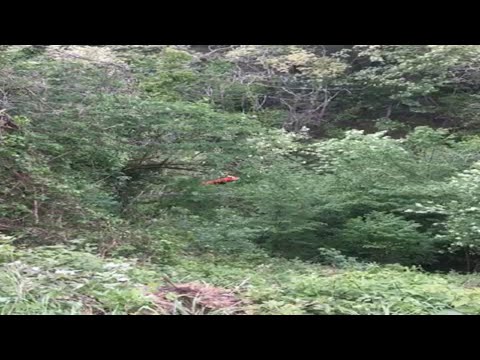 Rally della Valdinievole: auto finisce nel torrente. L'intervento del Pegaso