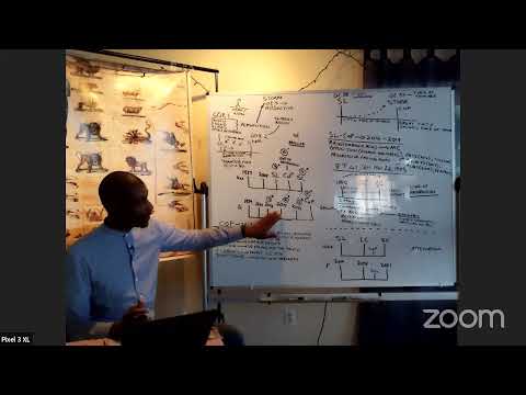 CSOTP 2020 - Study 8 - T. Mtetwa (Methodology)