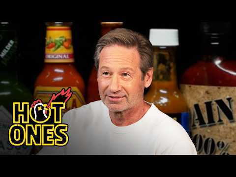 David Duchovny Lives the Technicolor Universe While Eating Spicy Wings | Hot Ones