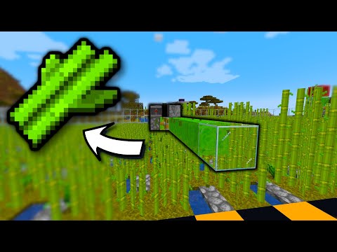 Maximal effiziente ZUCKERROHR FARM in Minecraft bauen