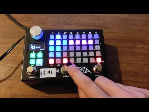 Empress Zoia – Evol Sequencer patch demo