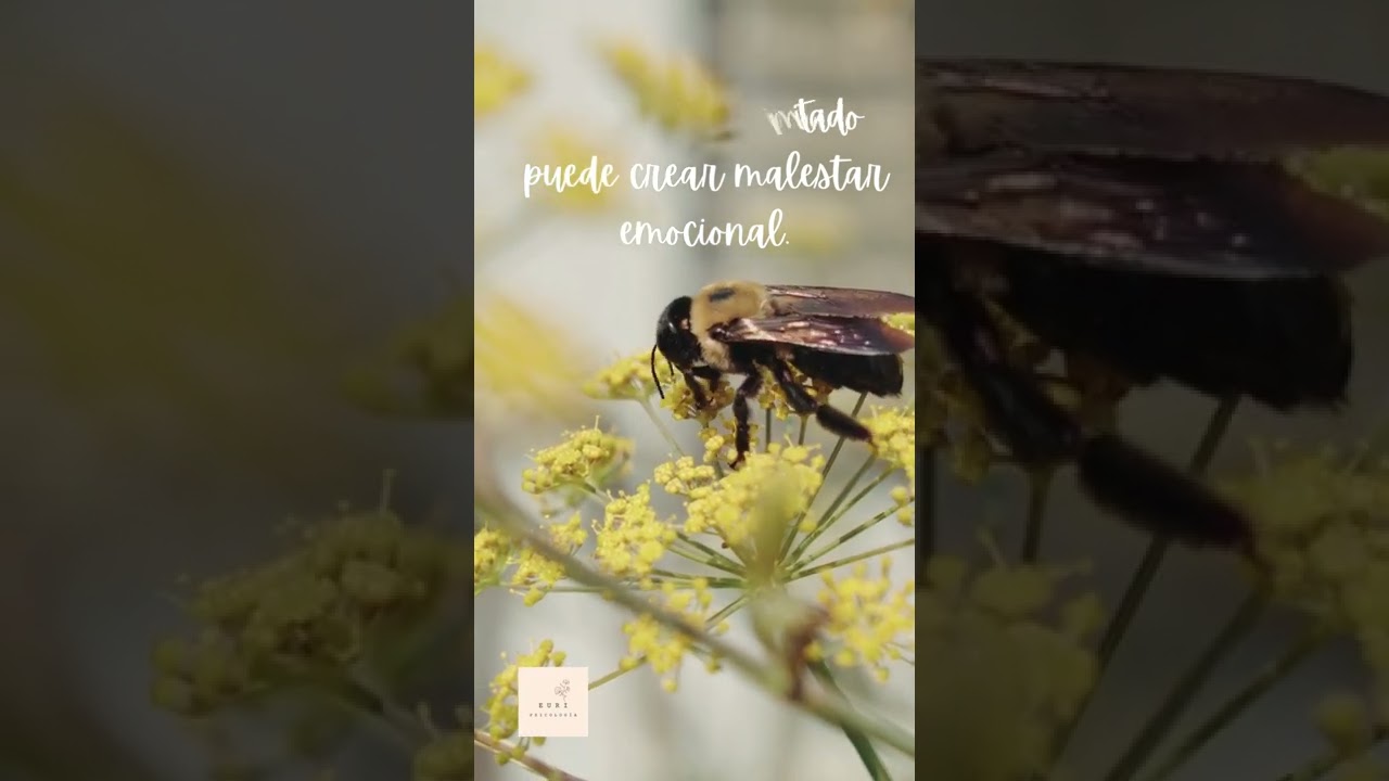 Jone Paguey Alberdi-30