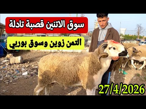 مباشرة من سوق الاتنين قصبة تادلة 27/4/2026 مع التمن حولي و خروف و حولية العيد 🐑🐑🇲🇦