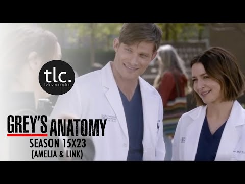 Greys Anatomy Amelia & Link (AmeLink) Season 15X23