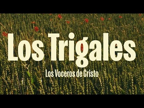 Los Trigales - Los Voceros de Cristo (Lyric Video)