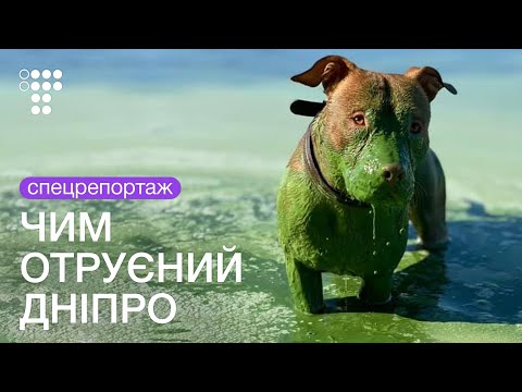 Почему стало опасно купаться в Днепре