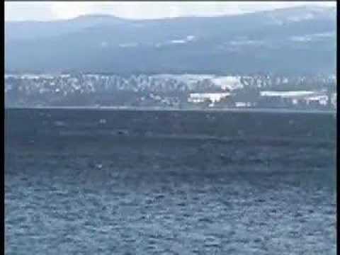 Thumbnail for Memories of You -- Peanuts Hucko 1976 by Peanuts Hucko