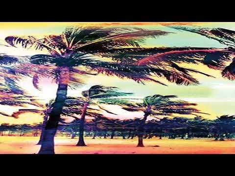 Birds of Mind - The Jungle Spell (Original Mix)