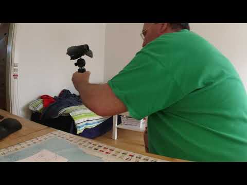 MongoTV_6865 - ENGLISH VLOG - Have a Good Sunday - FlightRadar 24 - Kabul - Evening