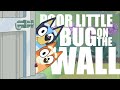 Poor Little Bug On The Wall - Bingo e Bluey // Bluey (tradução/legendado PT-BR)