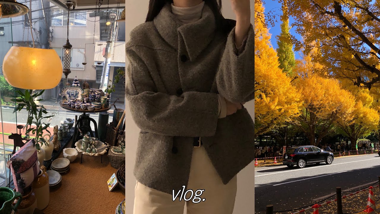 도쿄 브이로그 | 늦가을-초겨울 일상🍂 | 연차와 건강검진 | 녹섭 코트 | 가이엔마에 소품샵 쇼핑 | 틈틈히 만든 집밥 메뉴들