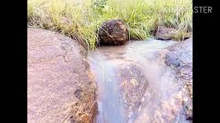 preview picture of video 'Rainy seasonal water stream at avathi hills, avathi'