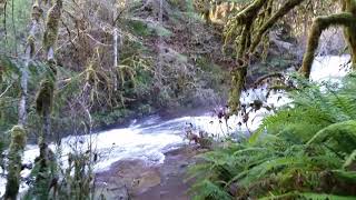 preview picture of video 'Visit to Alsea Falls'