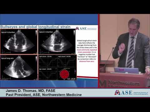 An Evening with Strain