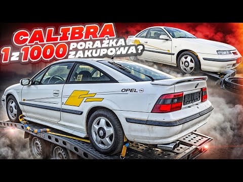Calibra Keke Rosberg Wtopa czy udany zakup?