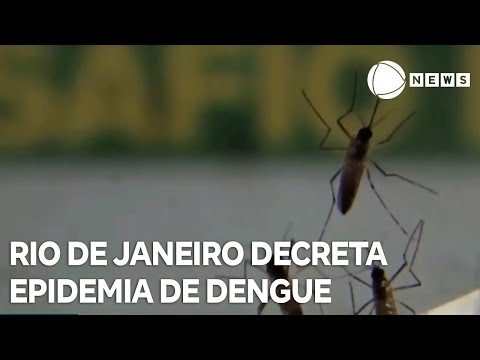 Governo do Rio de Janeiro decreta epidemia de dengue