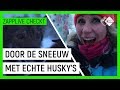 KAN SASKIA DE KERSTMAN VERVANGEN? #1 | Zapplive Checkt in Lapland | NPO Zapp