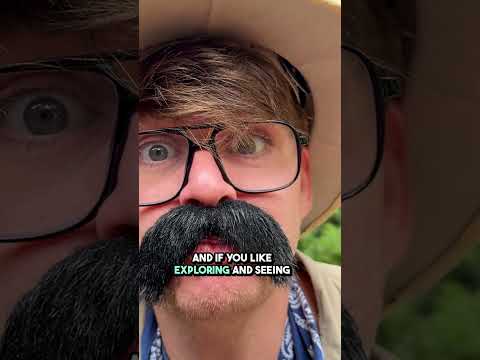 New Episodes of Walter the Wildlife Explorer Coming Soon | Educational Videos for Kids