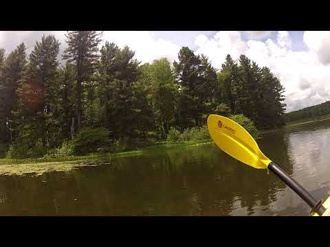 Kayak video from the opposite side of the lake (this is where the bald eagles were nesting)