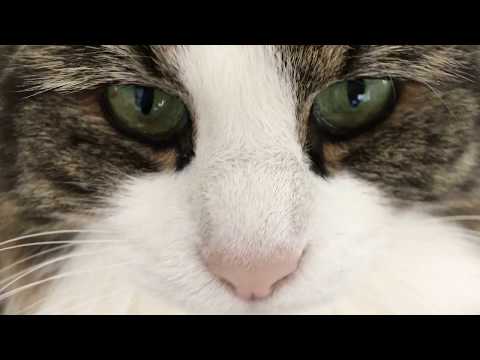 Soundliner & ZGOOT - Duende (Original Mix)